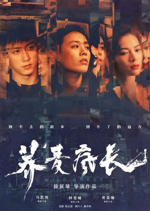 高仿NSW驾驶证